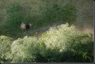 2009_08_04 Varennes Montbouy 040