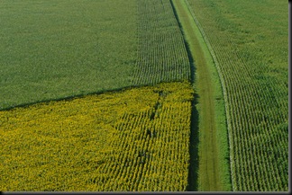 2009_08_04 Varennes Montbouy 053