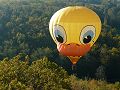 Dordogne_2007_36.jpg