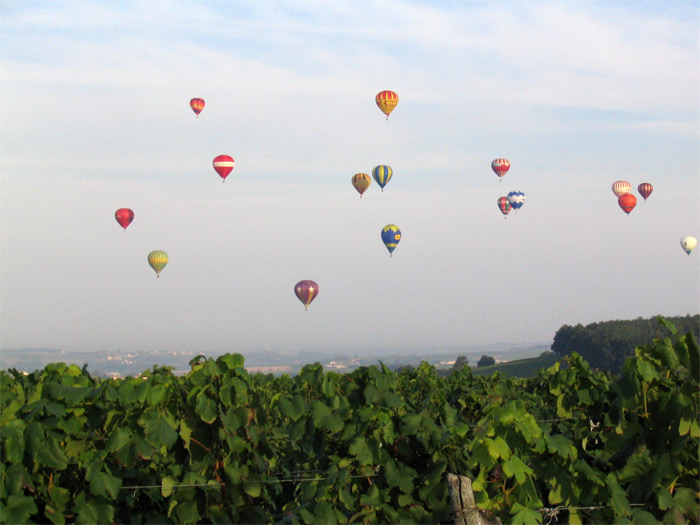 Mainfonds-2006-119.jpg
