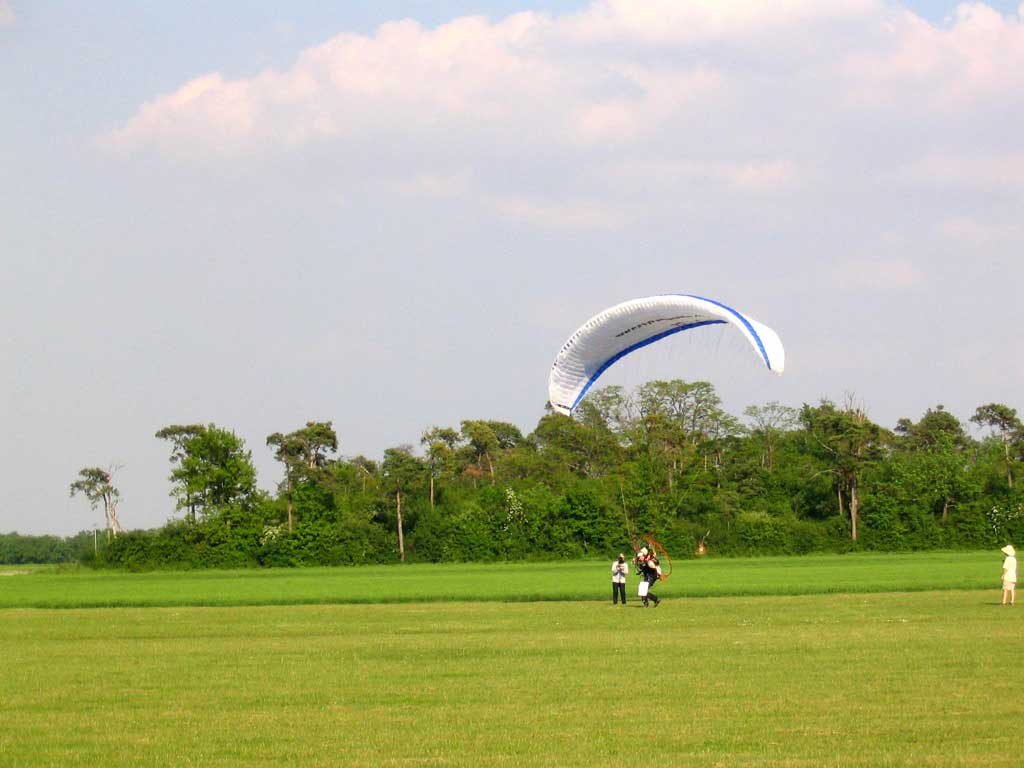 img_1239.jpg