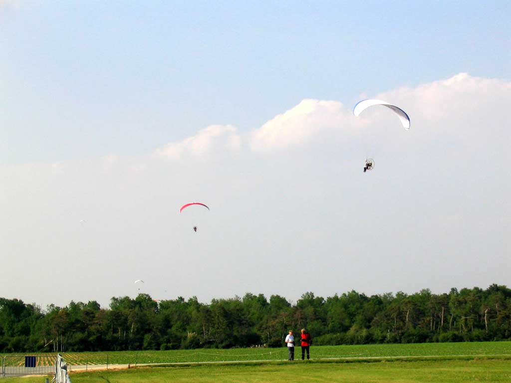 img_1241.jpg