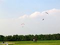 img_1241.jpg