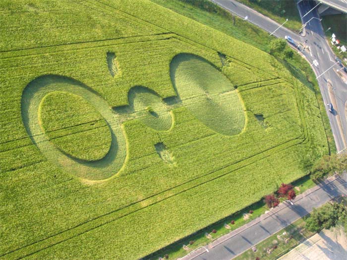 cropcircle-7.jpg