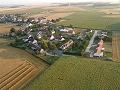 coquilleroy15.jpg